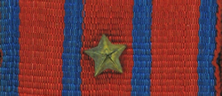 Medal of National Defence Device