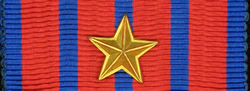 Medal of National Defence Device