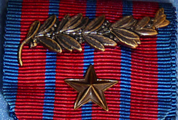 Medal of National Defence Device