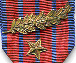 Medal of National Defence Device