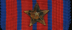 Medal of National Defence Device