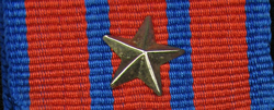 Medal of National Defence Device