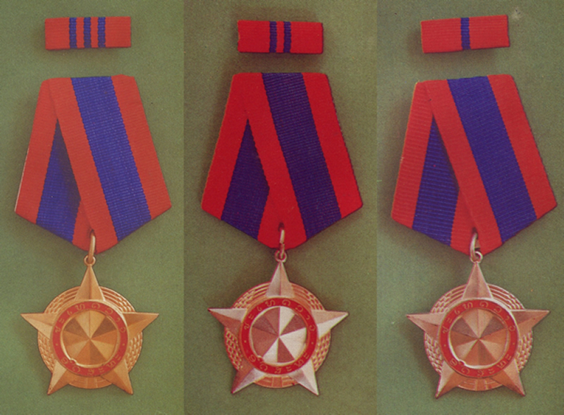 Medal of Freedom Picture