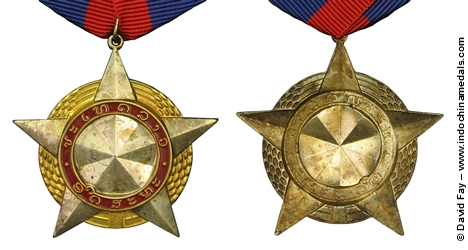 Medal of Freedom Picture