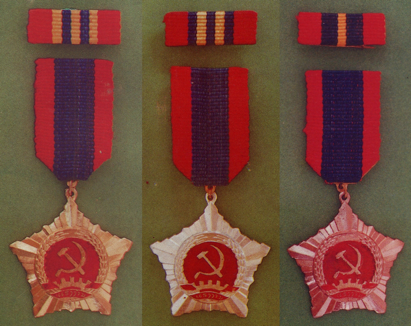 Medal of Labor Picture